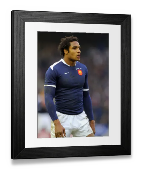Framed Print : Benjamin Fall Framed Print : Benjamin Fall