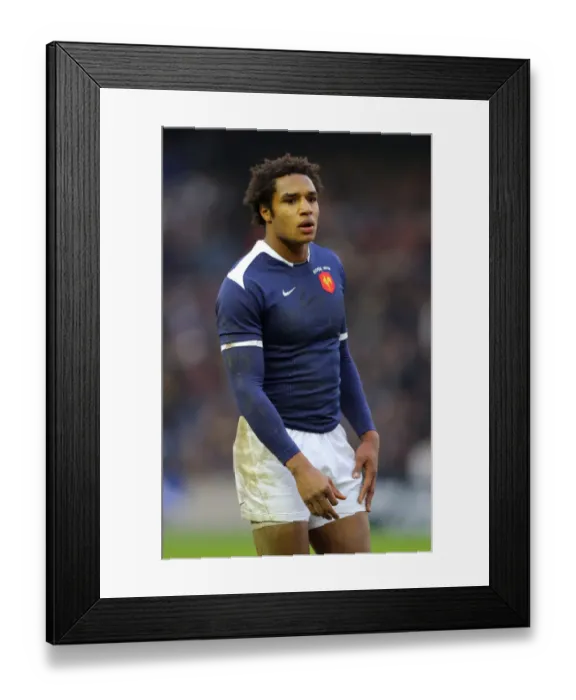 Framed Print : Benjamin Fall Framed Print : Benjamin Fall