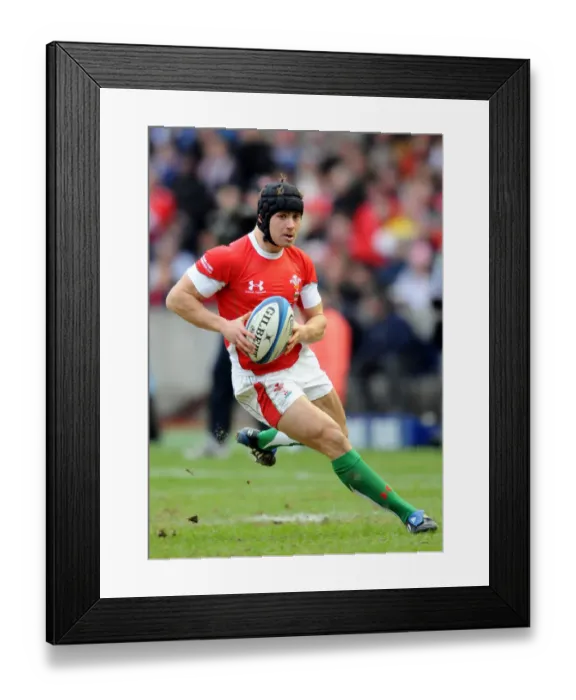 Framed Print : Leigh Halpenny Framed Print : Leigh Halpenny