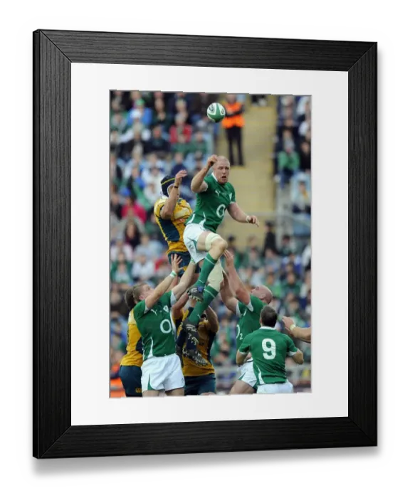 Framed Print : Paul O Connell Wins Line-Out Framed Print : Paul O Connell Wins Line-Out