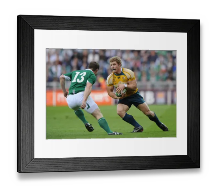 Framed Print : David Pocock Framed Print : David Pocock