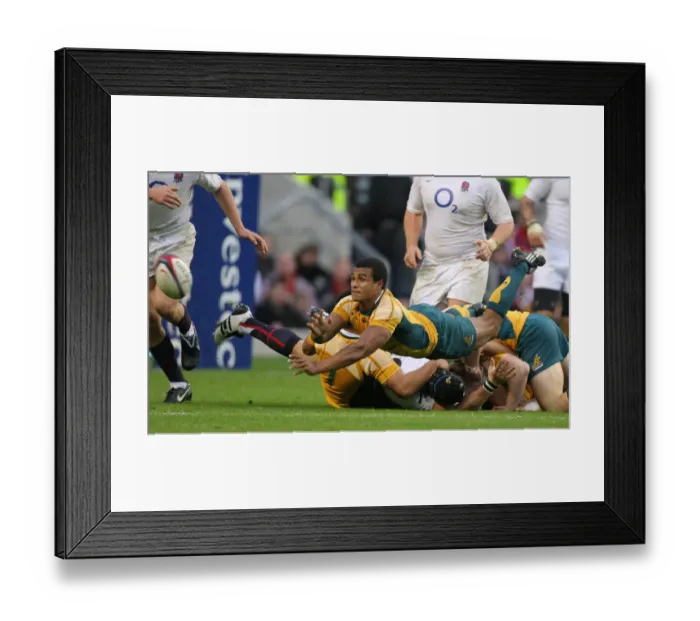 Framed Print : Will Genia Framed Print : Will Genia