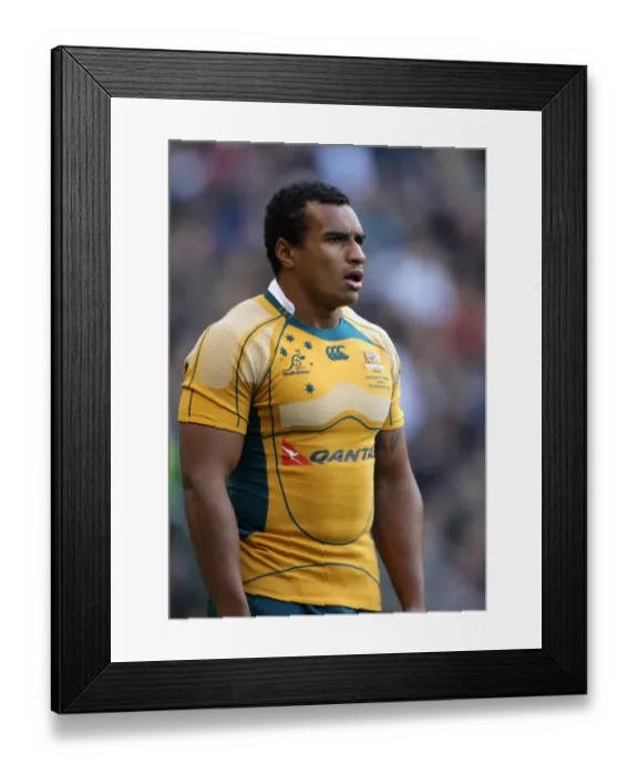 Framed Print : Will Genia Framed Print : Will Genia