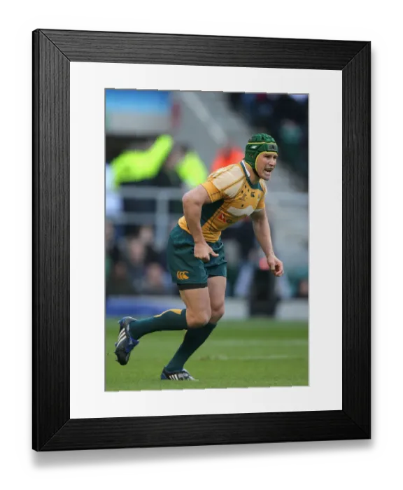 Framed Print : Matt Giteau