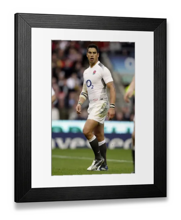 Framed Print : Shontayne Hape Framed Print : Shontayne Hape