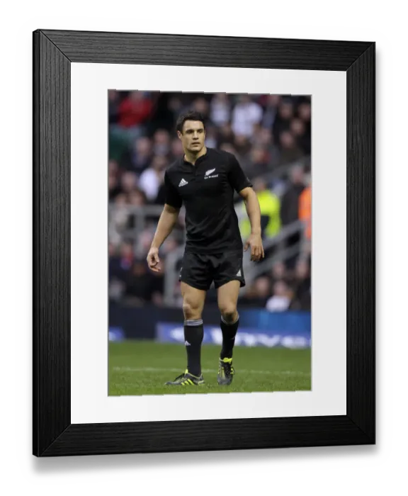 Framed Print : Dan Carter Framed Print : Dan Carter
