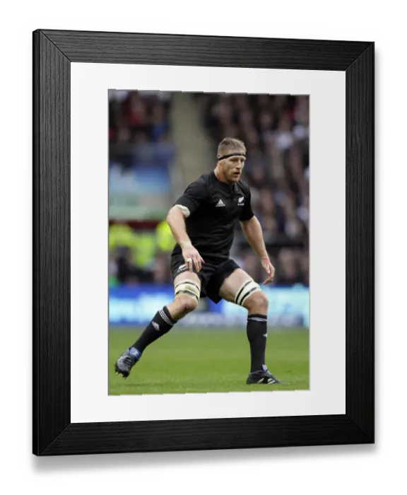 Framed Print : Brad Thorn Framed Print : Brad Thorn