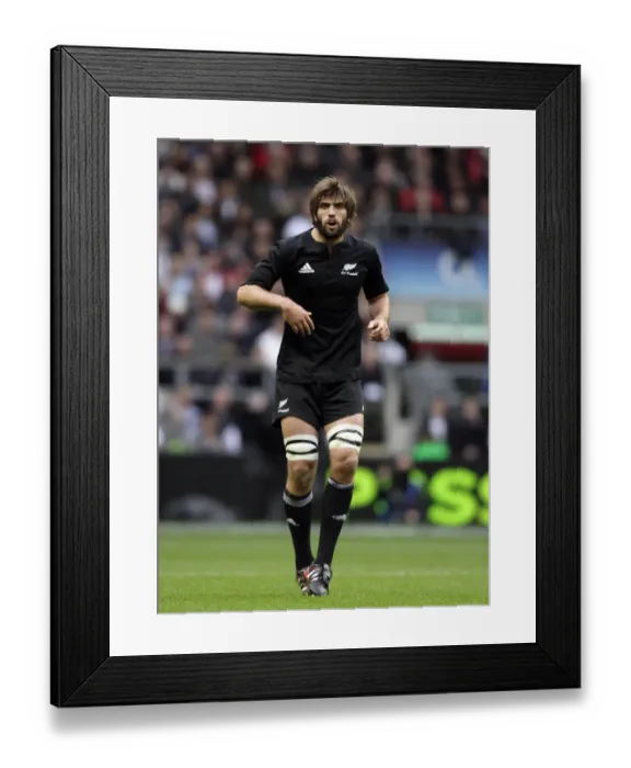 Framed Print : Samuel Whitelock Framed Print : Samuel Whitelock