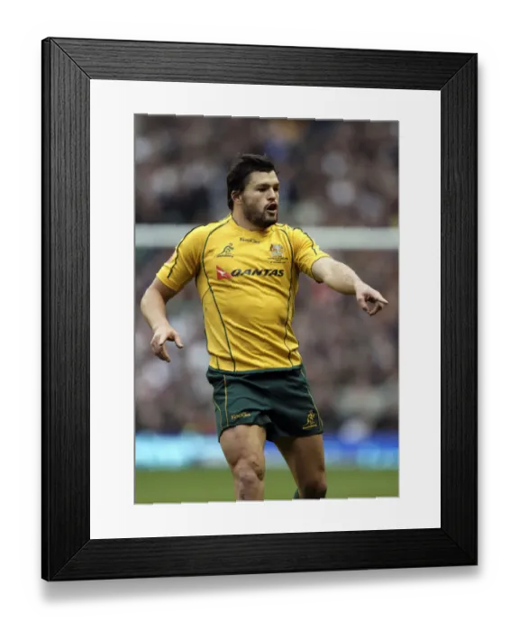 Framed Print : Adam Ashley-Cooper Framed Print : Adam Ashley-Cooper
