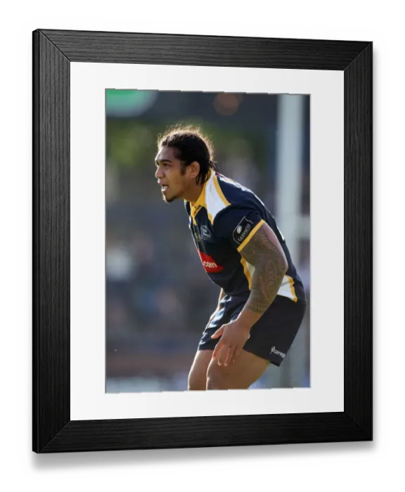 Framed Print : Alfie To Oala Framed Print : Alfie To Oala