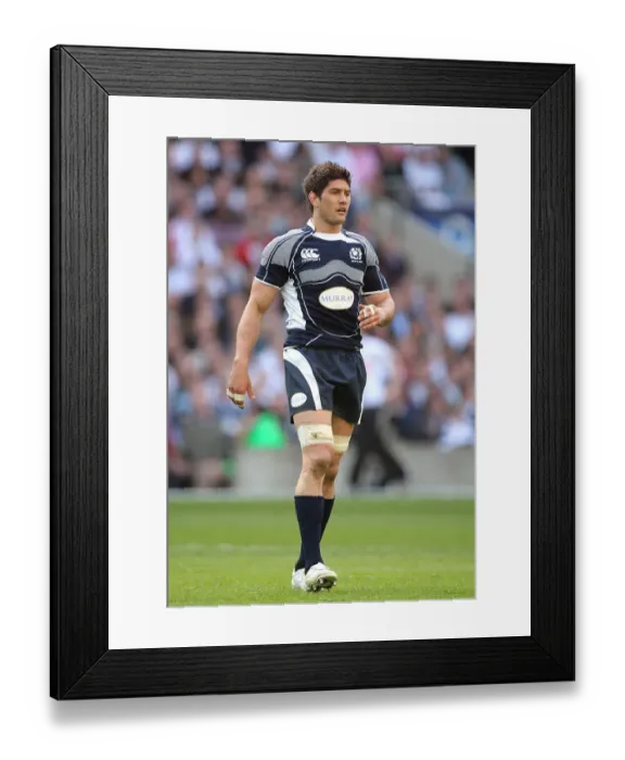 Framed Print : Scott Gray Framed Print : Scott Gray