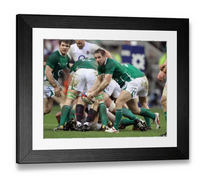 Framed Print : Tomas O Leary