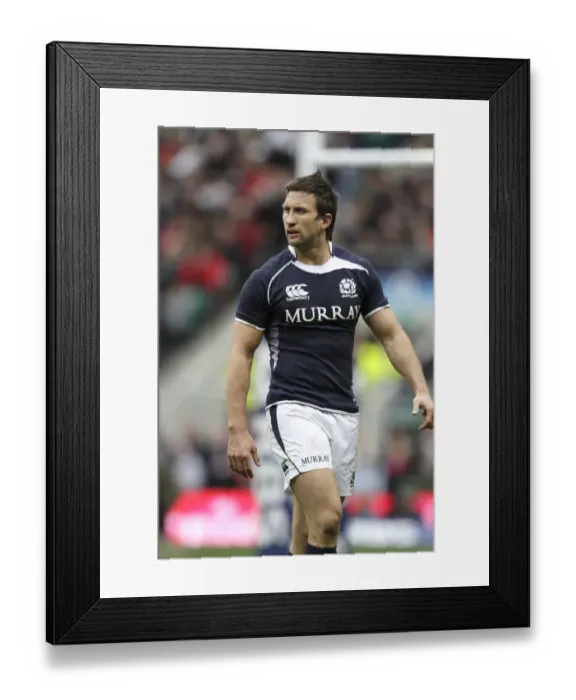 Framed Print : Simon Danielli Framed Print : Simon Danielli