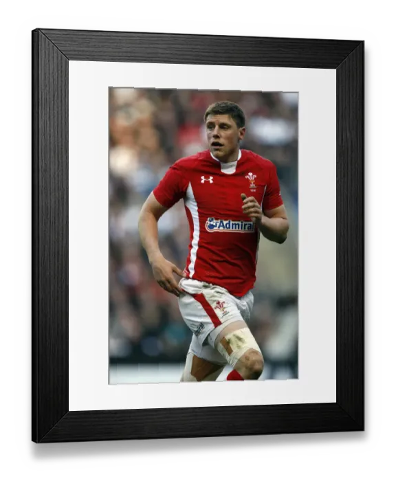 Framed Print : Rhys Priestland Framed Print : Rhys Priestland