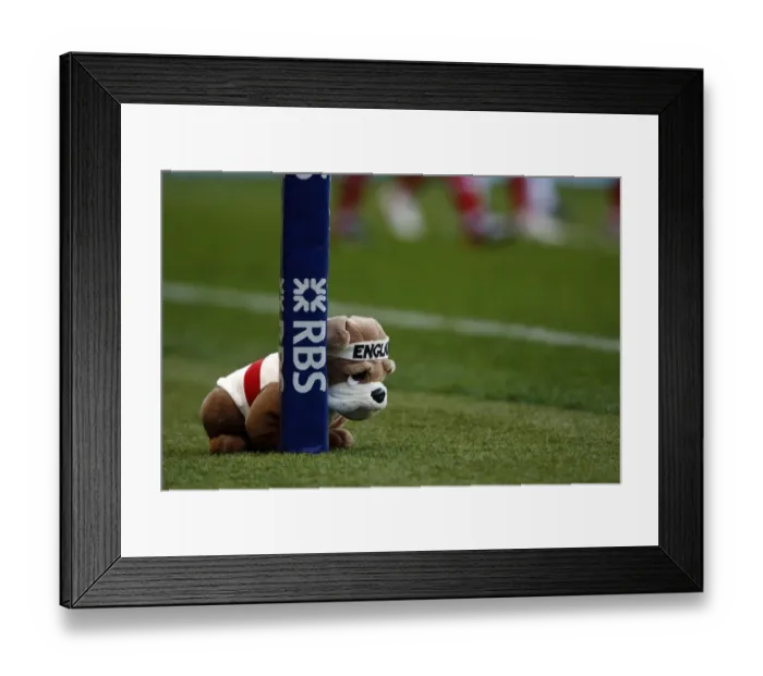 Framed Print : England Bulldog Mascott Framed Print : England Bulldog Mascott