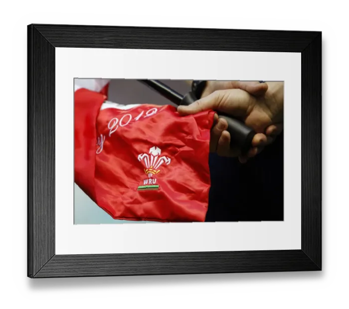 Framed Print : Linesman Flag Framed Print : Linesman Flag