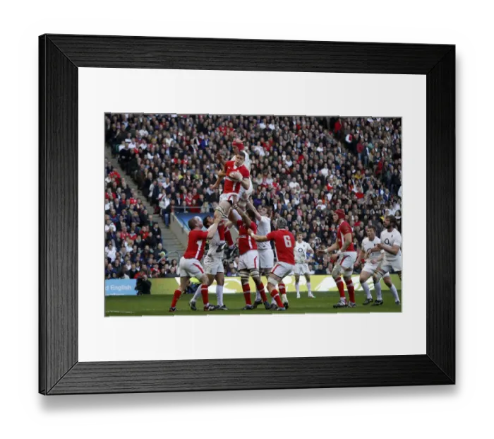 Framed Print : Ian Evans Wins Wales Lineout Framed Print : Ian Evans Wins Wales Lineout
