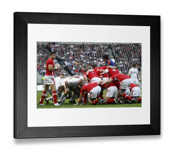 Framed Print : Mike Phillips At Scrum Half Framed Print : Mike Phillips At Scrum Half