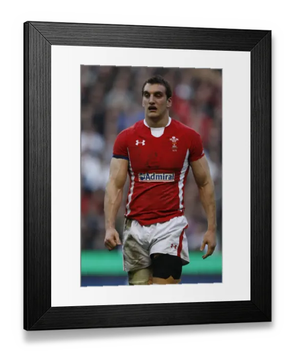 Framed Print : Sam Warburton Framed Print : Sam Warburton