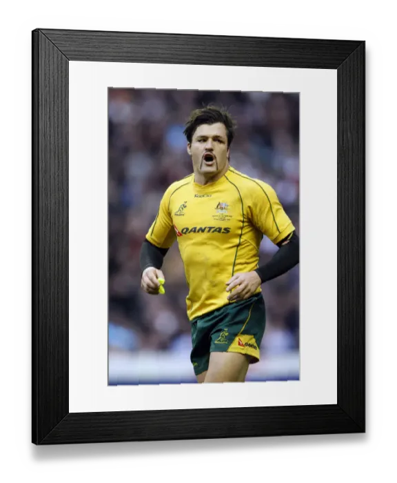 Framed Print : Adam Ashley-Cooper Framed Print : Adam Ashley-Cooper