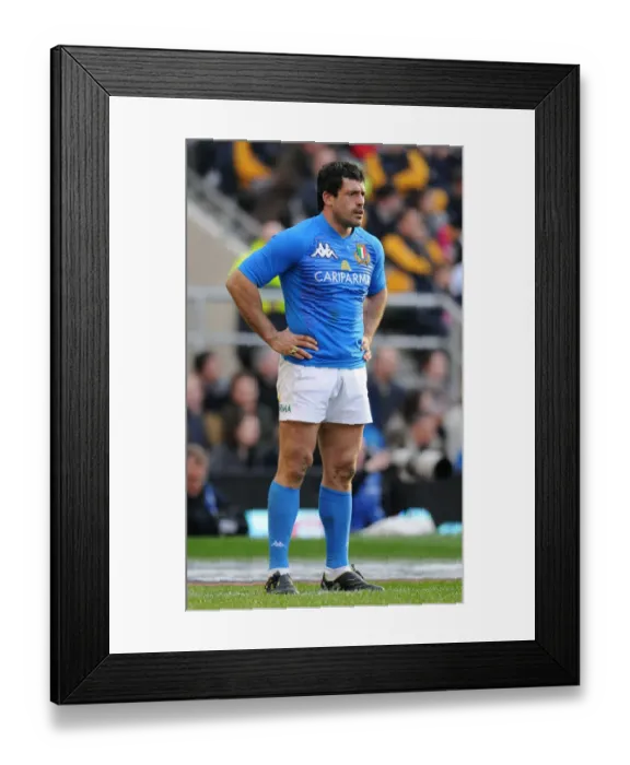 Framed Print : Andrea Masi Framed Print : Andrea Masi