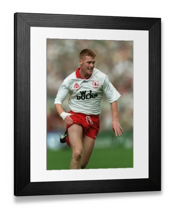 Framed Print : Seamus Mccallan