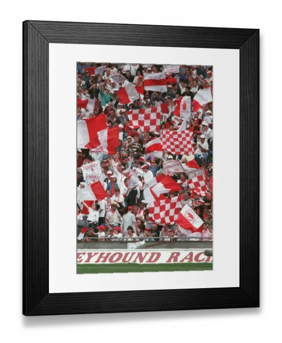 Framed Print : Tyrone Fans In Croke Park Framed Print : Tyrone Fans In Croke Park