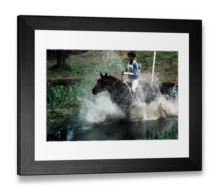 Framed Print : Venetia Salmond (Night Hawk) Framed Print : Venetia Salmond (Night Hawk)