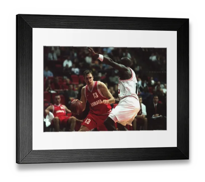 Framed Print : Mikkel Langager Larsen / Huggins Framed Print : Mikkel Langager Larsen / Huggins