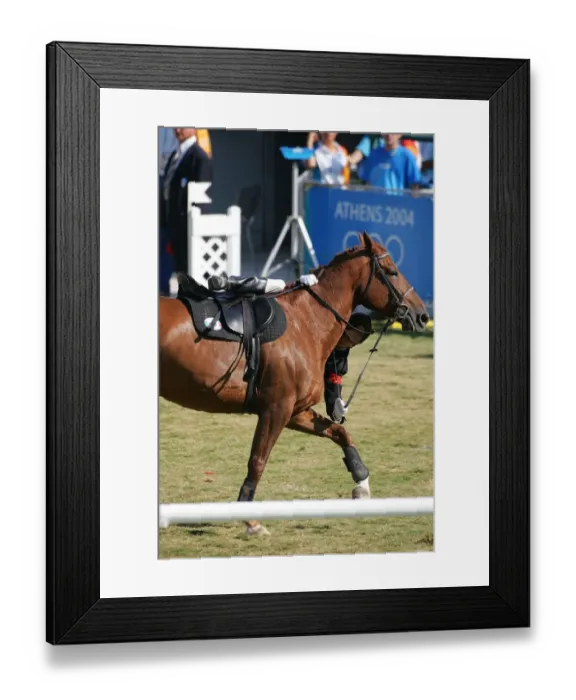 Framed Print : Show Jumping & Modern Pentathlon Framed Print : Show Jumping & Modern Pentathlon
