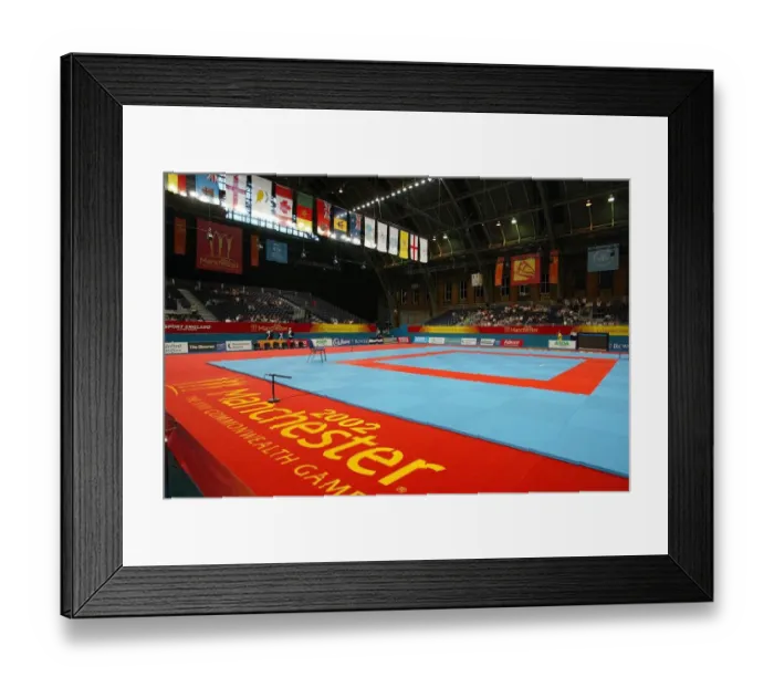 Framed Print : Judo, G-Mex Manchester Framed Print : Judo, G-Mex Manchester