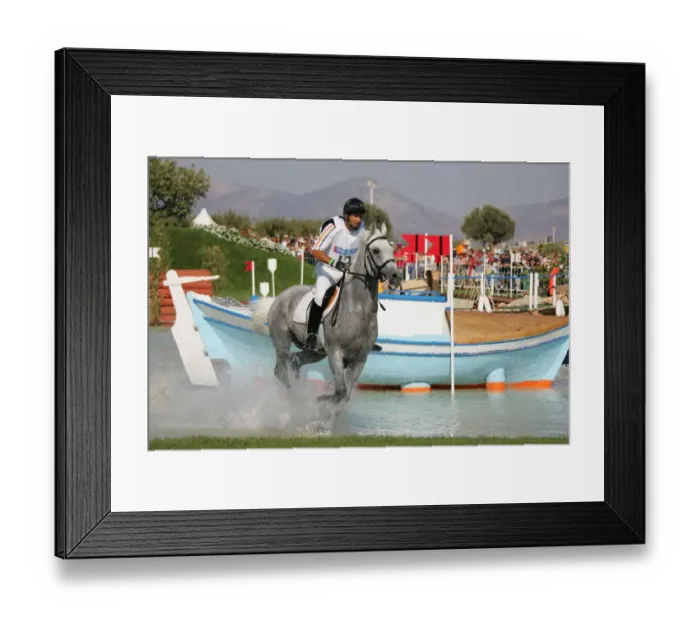 Framed Print : Vioiel Bubau Framed Print : Vioiel Bubau