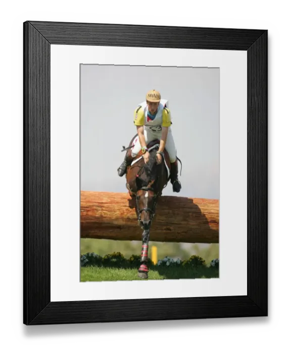 Framed Print : Harald Ambros Framed Print : Harald Ambros