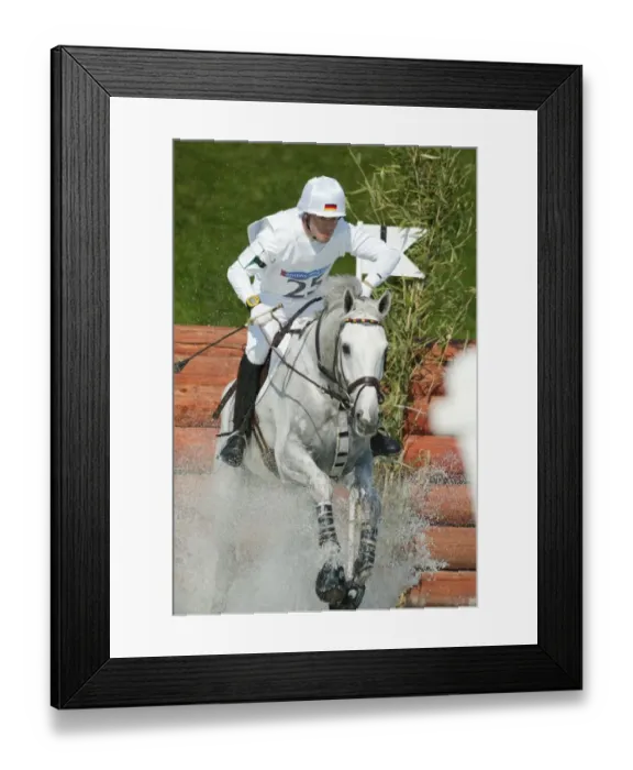 Framed Print : Hihrich Romeike