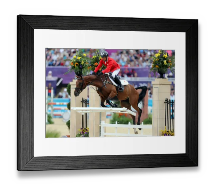 Framed Print : Atsushi Negishi Framed Print : Atsushi Negishi