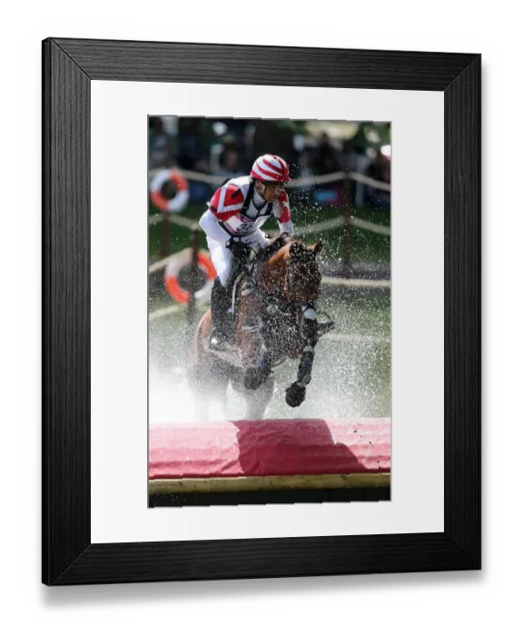 Framed Print : Atshushi Negishi Framed Print : Atshushi Negishi