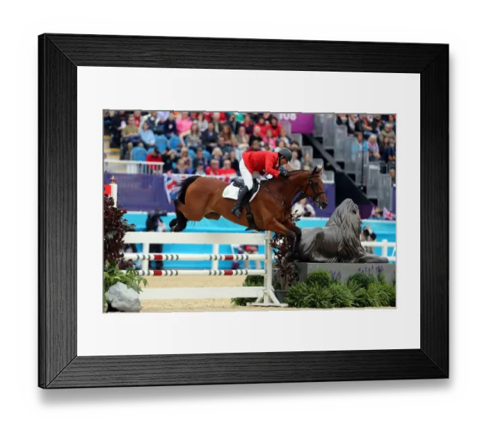 Framed Print : Ronald Goetschel-Zabala Framed Print : Ronald Goetschel-Zabala