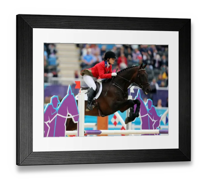 Framed Print : Lamsam Nina Ligon Framed Print : Lamsam Nina Ligon