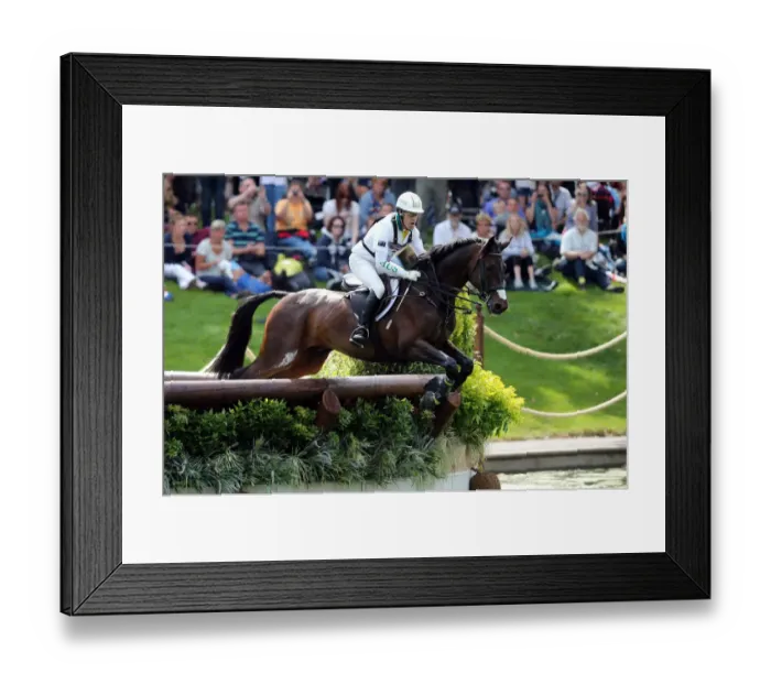 Framed Print : Andrew Hoy Framed Print : Andrew Hoy
