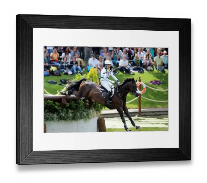 Framed Print : Andrew Hoy Framed Print : Andrew Hoy
