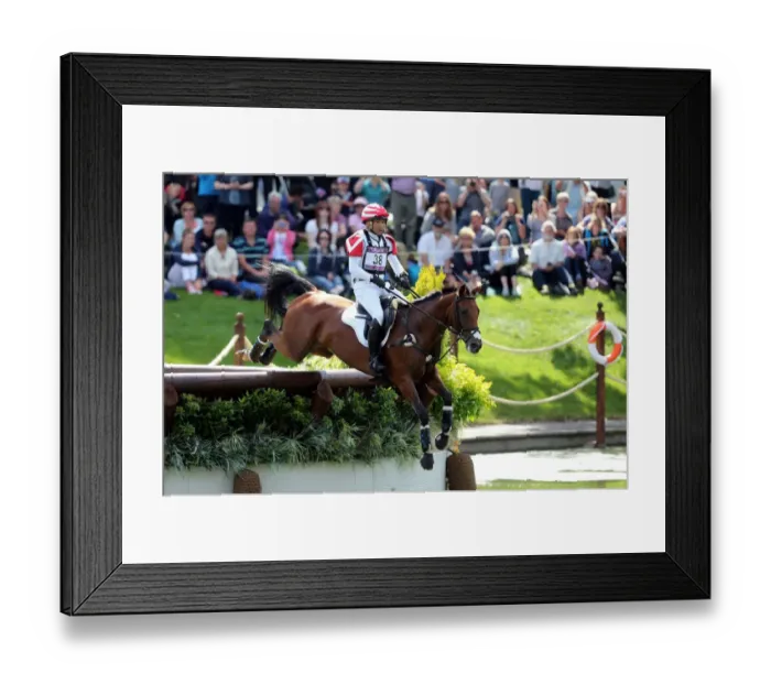 Framed Print : Atshushi Negishi Framed Print : Atshushi Negishi