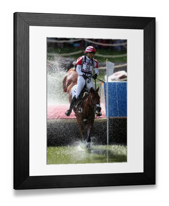 Framed Print : Atshushi Negishi Framed Print : Atshushi Negishi