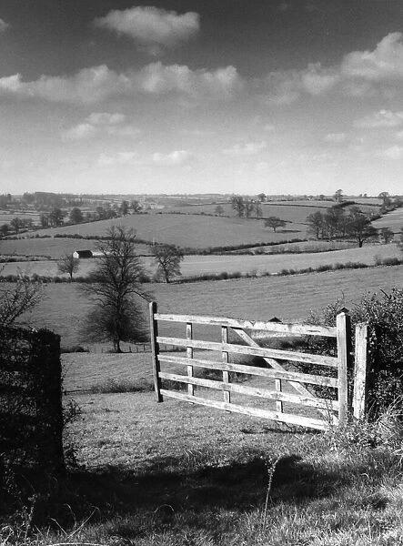 Thro the gate, a glimpse of typical Northamptonshire, England, countryside