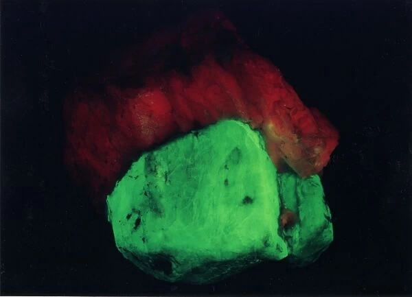 Willemite. A specimen of willemite (zinc silicate) photographed under UV light