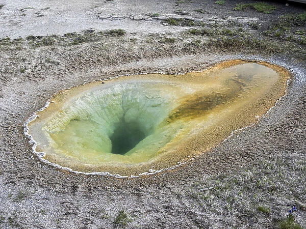 Belgian Pool, in the Norris Geyser Basin area, Yellowstone National Park