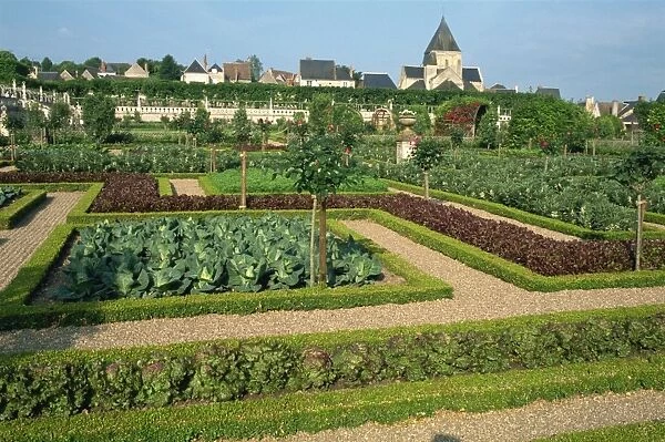Herb and kitchen gardens, Chateau Villandry, Centre, France, Europe