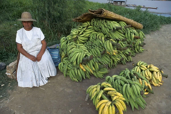 10086980. BOLIVIA Rurrenabaque Bananas seller
