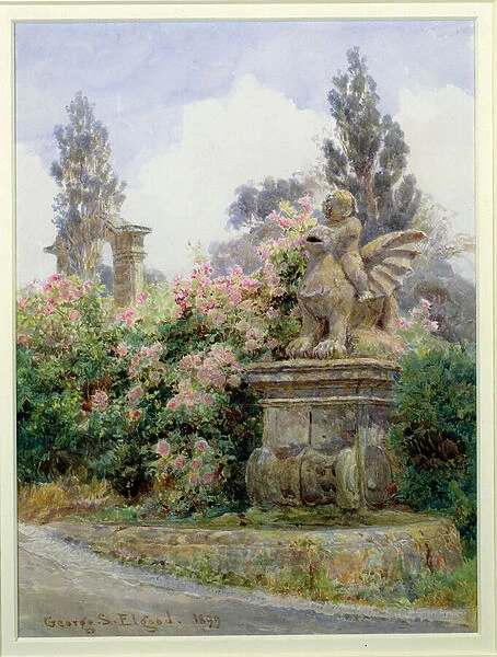 China Roses, Villa Imperiali, Genoa