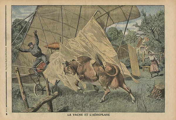The cow and the airplane, illustration from Le Petit Journal, supplement illustre