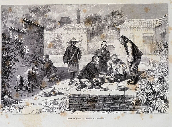 Cricket fighting in Beijing, drawing by A. Ferdinandus - in 'The World Tour', 2nd semester 1882
